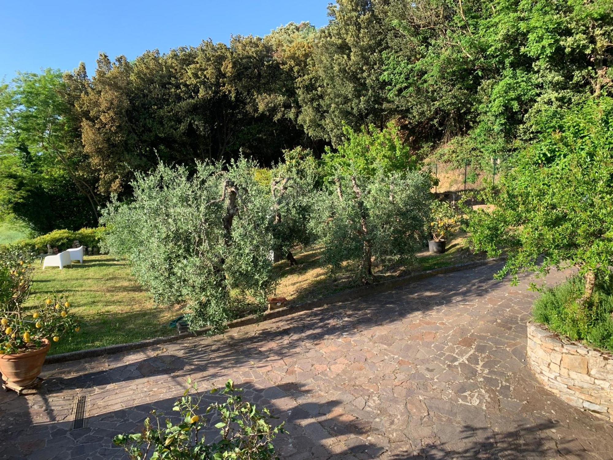 Chianti Art Room Poggibonsi Exteriér fotografie